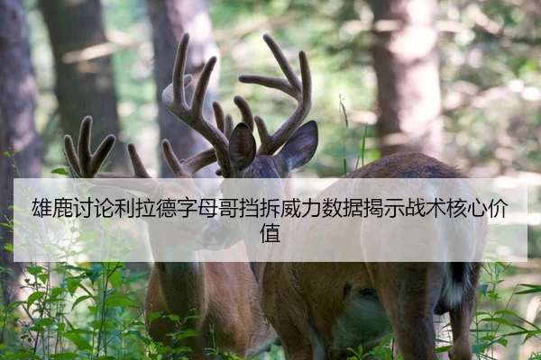 雄鹿讨论利拉德字母哥挡拆威力数据揭示战术核心价值 - kaiyun